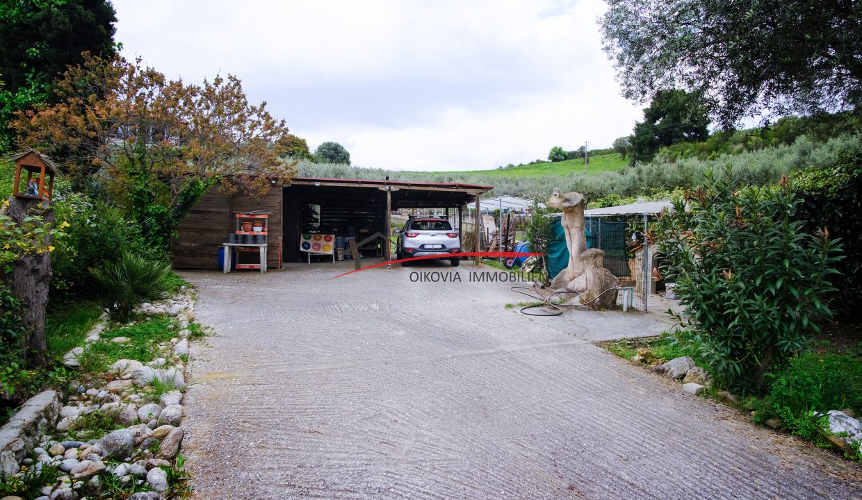 DSCF2641