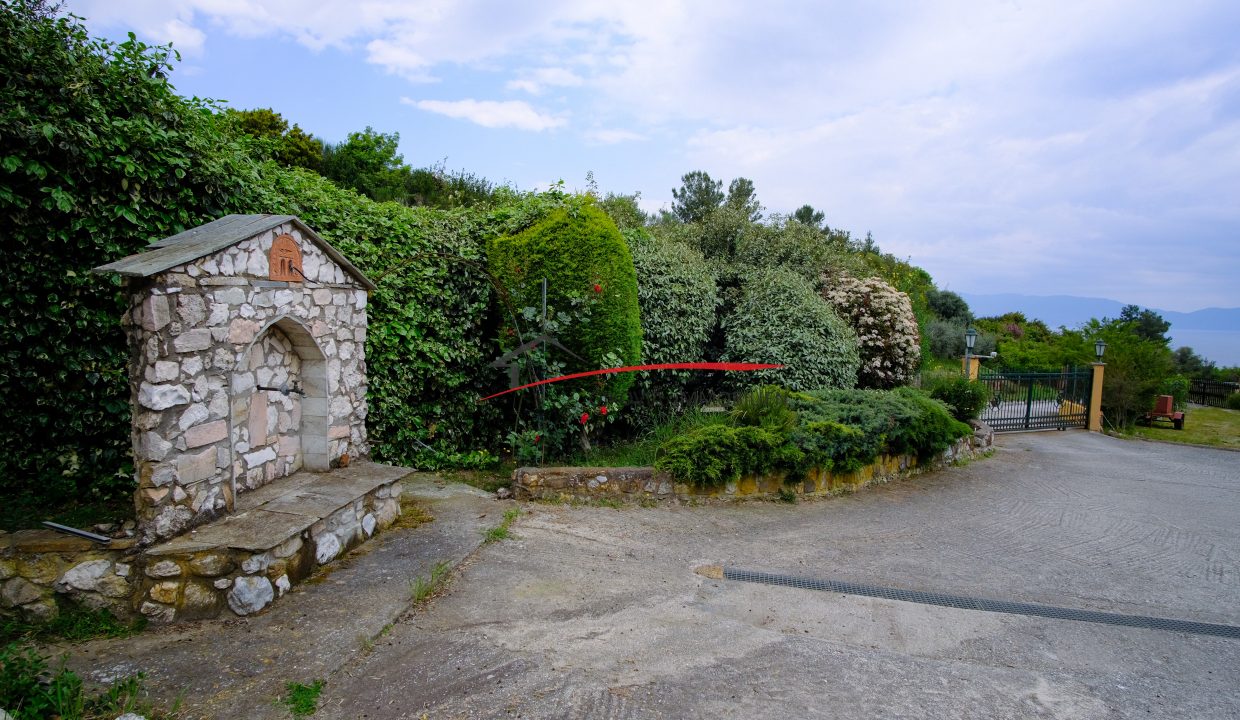 DSCF2644