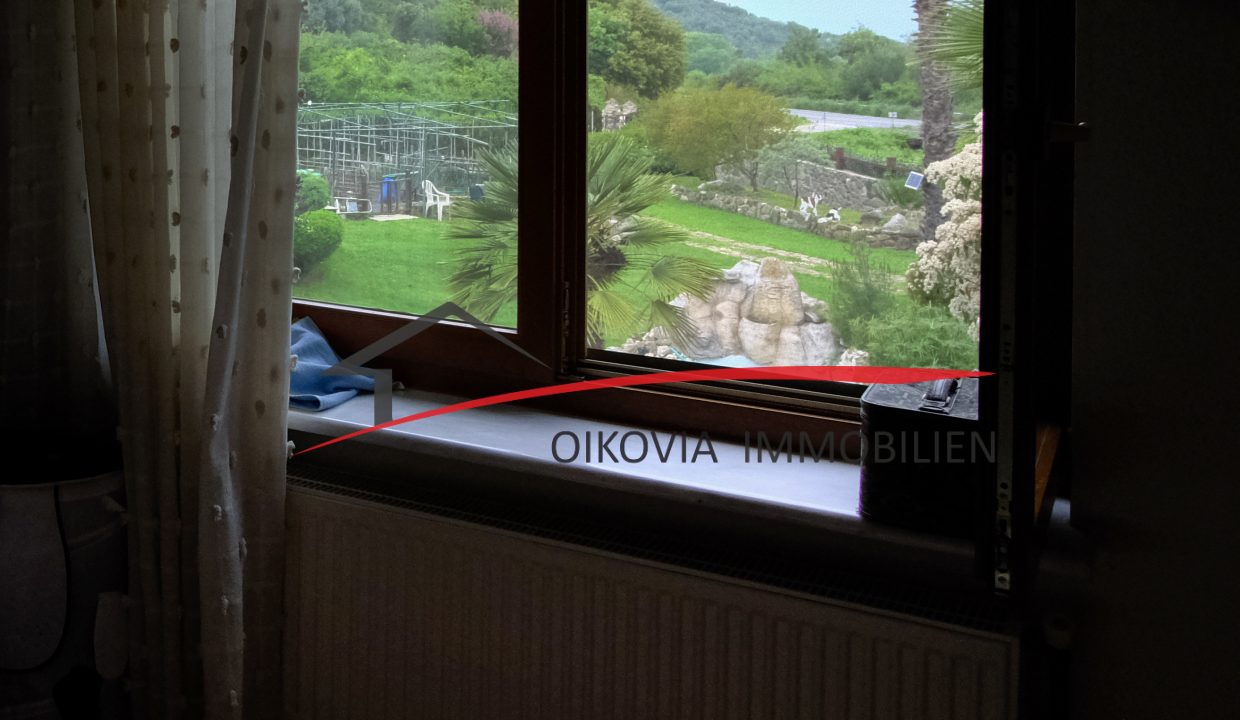DSCF2657