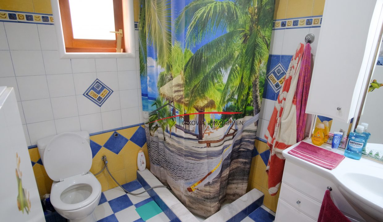DSCF2664